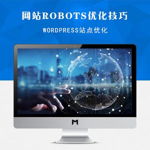 利用Robots.txt优化你的WordPress网站